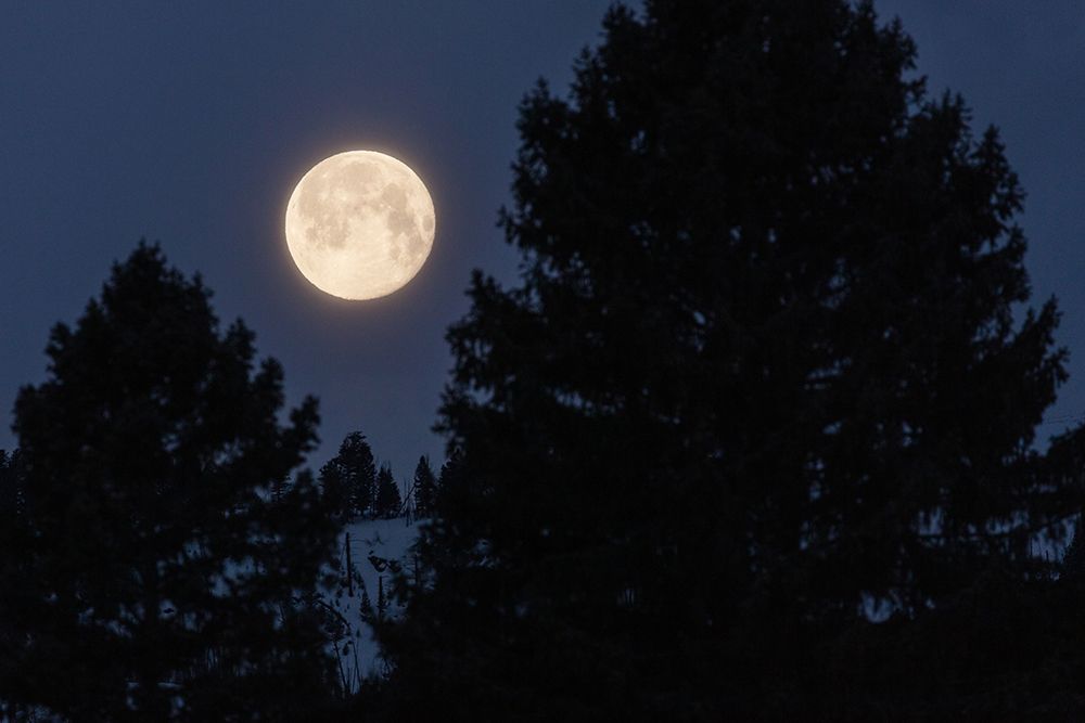 Full Moon sets Over Sepulcher Mountain, Yellowstone National Park art print by The Yellowstone Collection for $57.95 CAD
