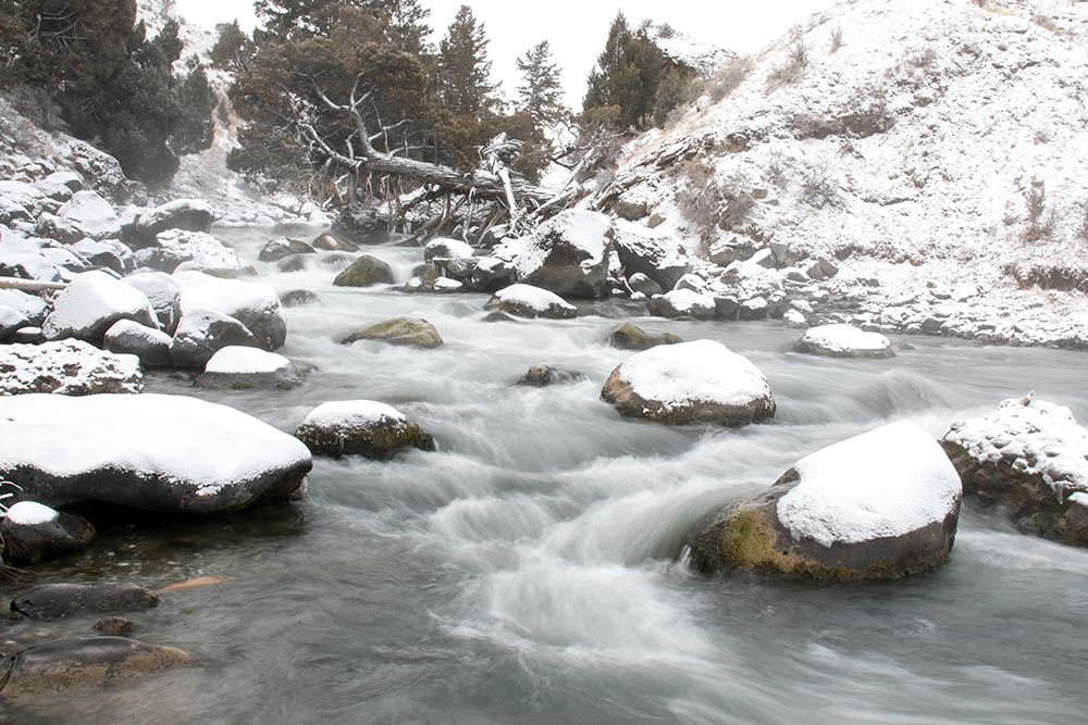Gardner River, Yellowstone National Park art print by Jim Peaco for $57.95 CAD