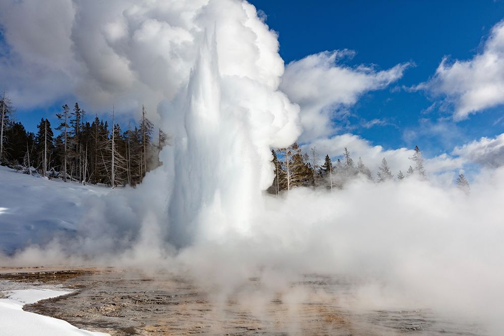 Grand Geyser Eruption, Yellowstone National Park art print by Jacob W. Frank for $57.95 CAD