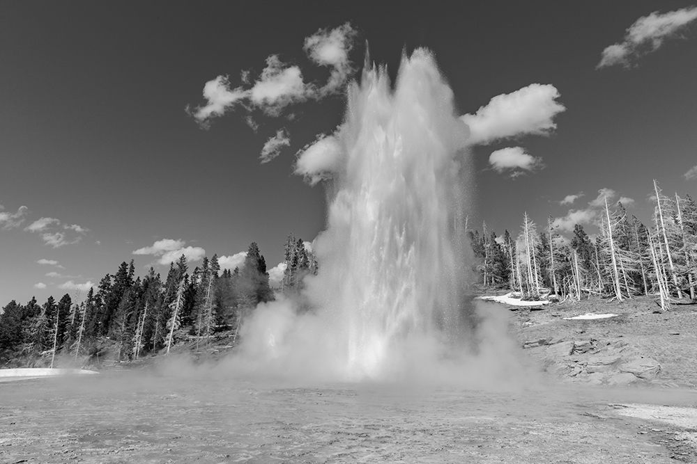 Grand Geyser Eruption, Yellowstone National Park art print by The Yellowstone Collection for $57.95 CAD