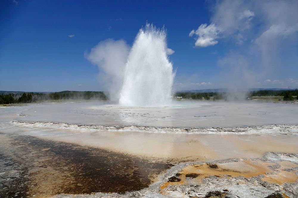Great Fountain Geyser, Yellowstone National Park art print by Diane Renkin for $57.95 CAD