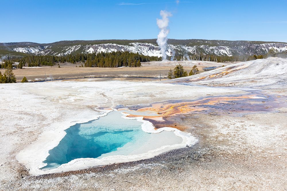 Heart Spring with a Castle Geyser Eruption, Yellowstone National Park art print by Jacob W. Frank for $57.95 CAD