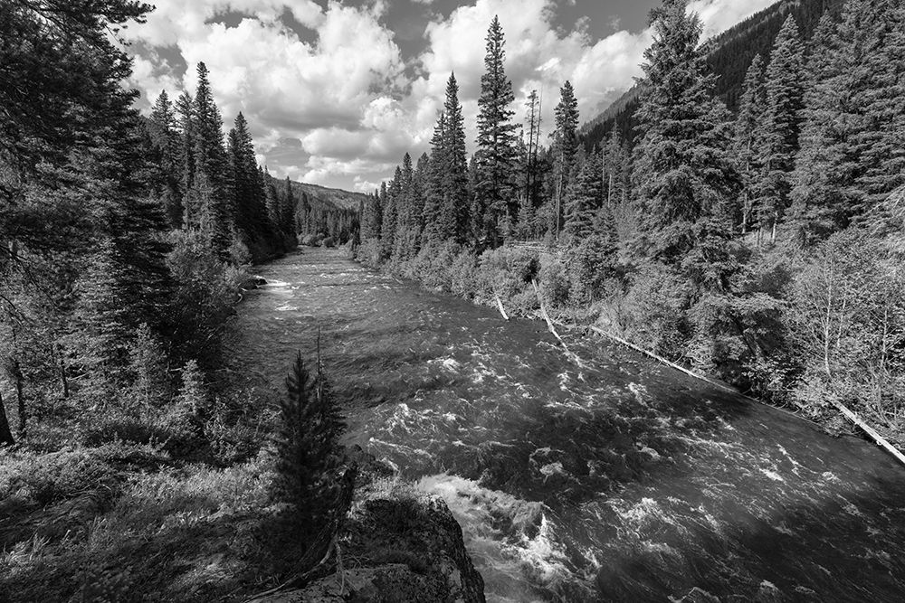 Hellroaring Creek near the Absaroka Beartooth Wilderness, Yellowstone National Park art print by Jacob W. Frank for $57.95 CAD