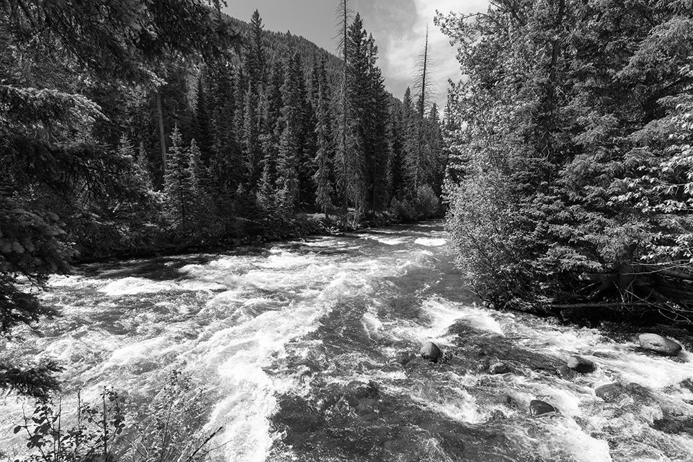 Horse and Hellroaring Creeks, Yellowstone National Park art print by Jacob W. Frank for $57.95 CAD