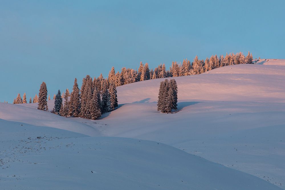 Last Light on Flanks of Bison Peak, Yellowstone National Park art print by The Yellowstone Collection for $57.95 CAD
