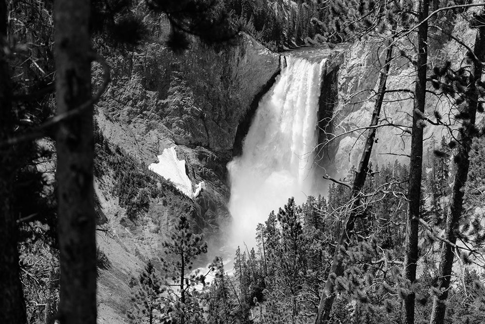Lower Falls from Lookout Point, Yellowstone National Park art print by Jacob W. Frank for $57.95 CAD