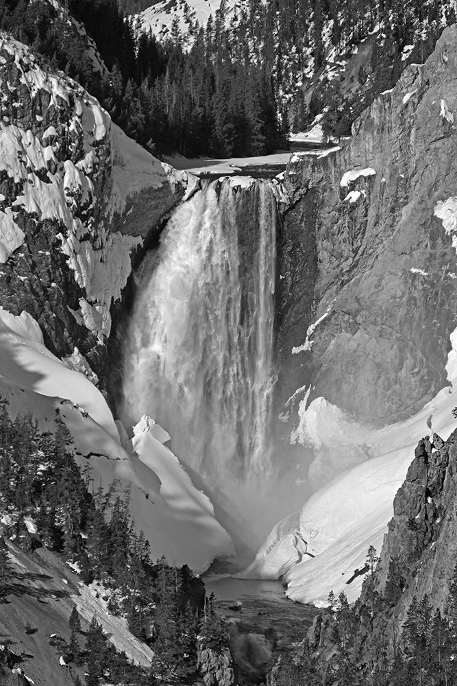 Lower Falls from Artist Point, Yellowstone National Park art print by Diane Renkin for $57.95 CAD