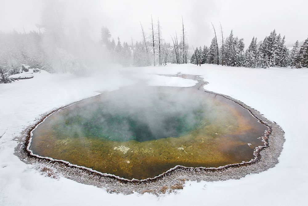 Morning Glory Pool, Yellowstone National Park art print by The Yellowstone Collection for $57.95 CAD