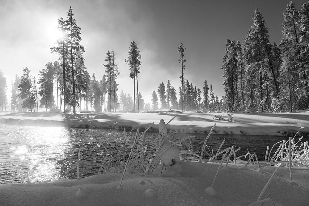 Nez Perce Creek, Yellowstone National Park art print by Jacob W. Frank for $57.95 CAD