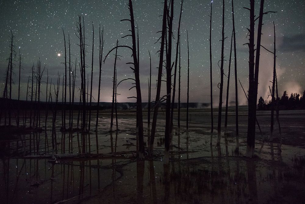 Night sky at Fountain Paint Pots, Yellowstone National Park art print by The Yellowstone Collection for $57.95 CAD