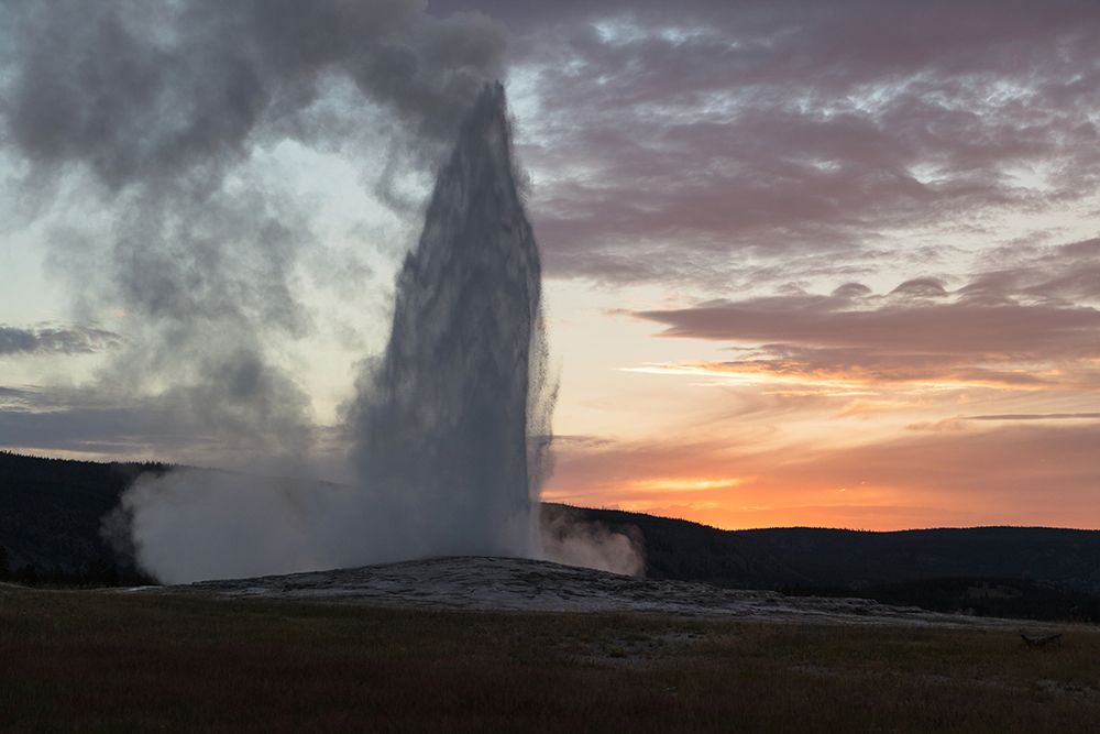 Old Faithful Eruption at Sunset, Yellowstone National Park art print by The Yellowstone Collection for $57.95 CAD