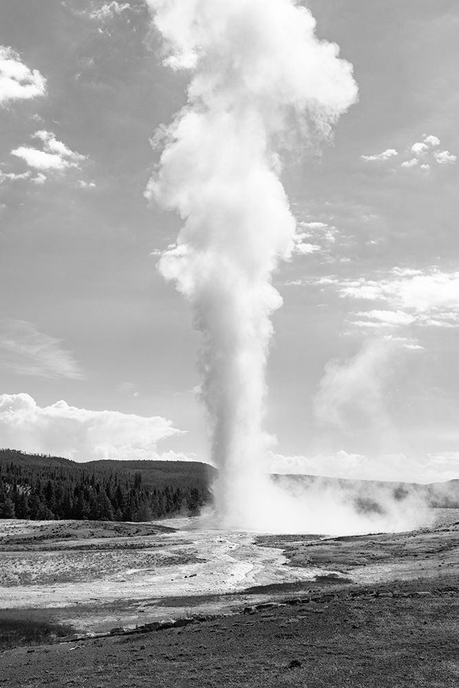 Old Faithful, Yellowstone National Park art print by The Yellowstone Collection for $57.95 CAD