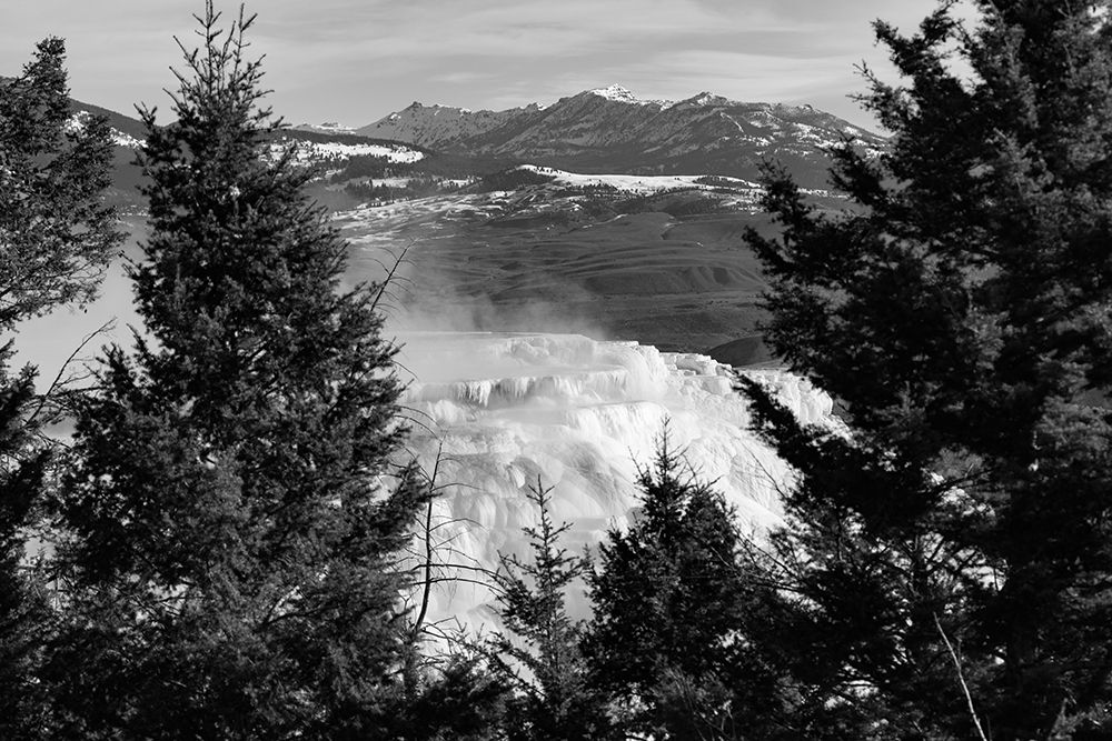 Canary Spring, Yellowstone National Park art print by Jacob W. Frank for $57.95 CAD