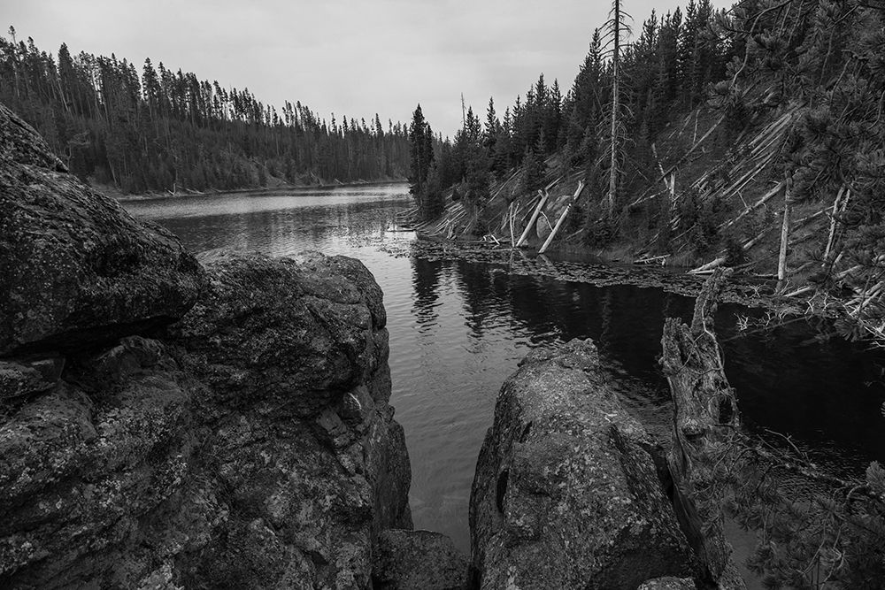 Lewis River Channel, Yellowstone National Park art print by The Yellowstone Collection for $57.95 CAD