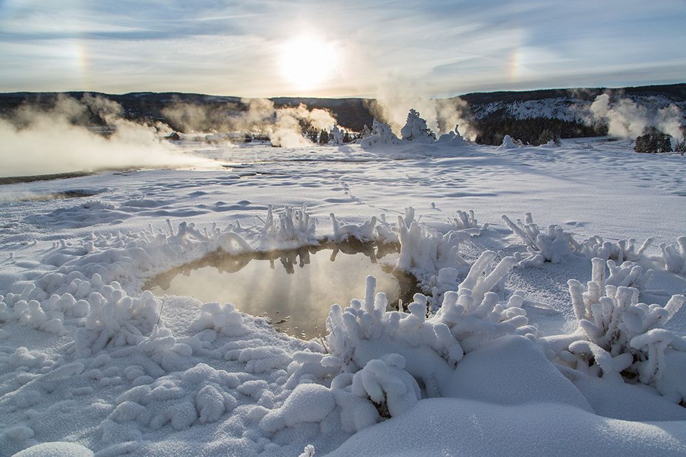 Parhelion and Rime Ice, Upper Geyser Basin, Yellowstone National Park art print by Neal Herbert for $57.95 CAD