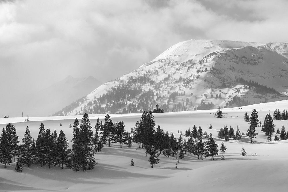 Quadrant Mountain in the distance, Bannock Peak, Yellowstone National Park art print by The Yellowstone Collection for $57.95 CAD