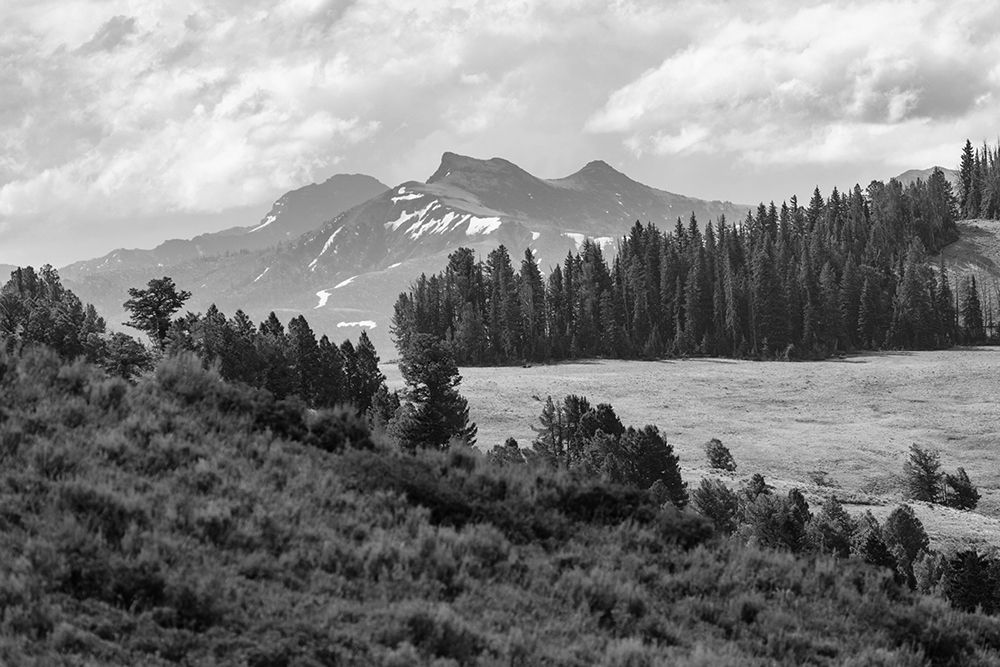 Saddle Mountain and Pollux Peak from Druid Peak hillside, Yellowstone National Park art print by Jacob W. Frank for $57.95 CAD