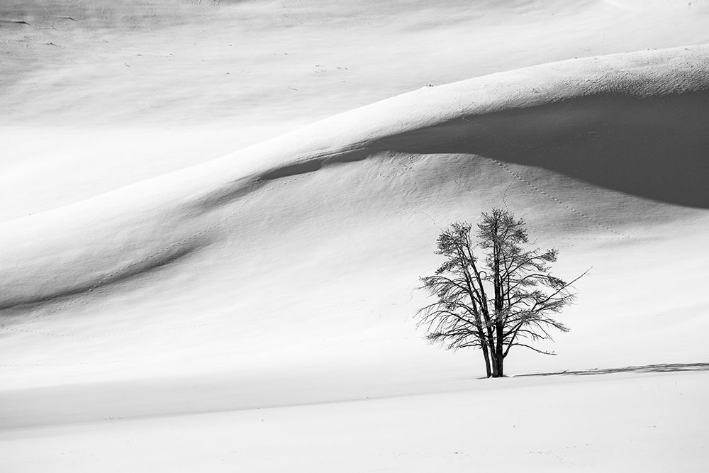Snow Dunes, Hayden Valley, Yellowstone National Park art print by The Yellowstone Collection for $57.95 CAD