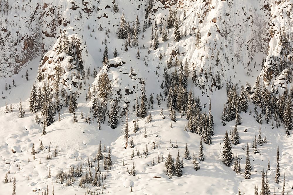 Snowy Cliffs of Mt. Haynes, Yellowstone National Park art print by The Yellowstone Collection for $57.95 CAD