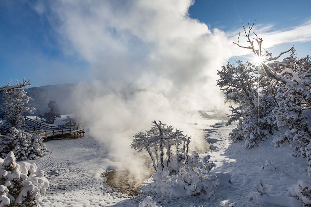 Snowy Sunrise, Mammoth Hot Springs, Yellowstone National Park art print by The Yellowstone Collection for $57.95 CAD