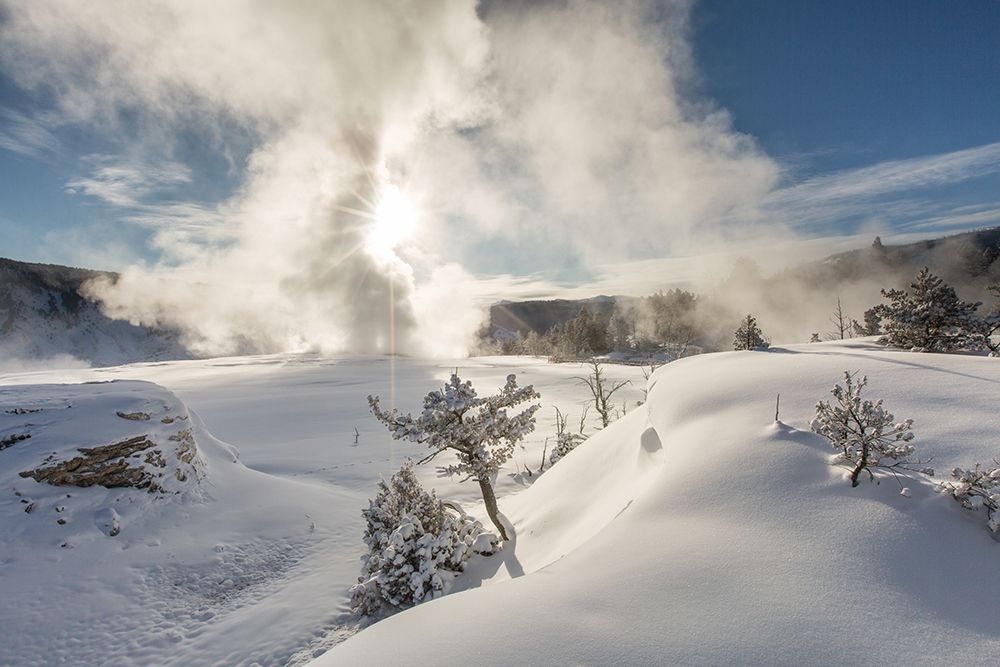Snowy Sunrise, Mammoth Hot Springs, Yellowstone National Park art print by The Yellowstone Collection for $57.95 CAD