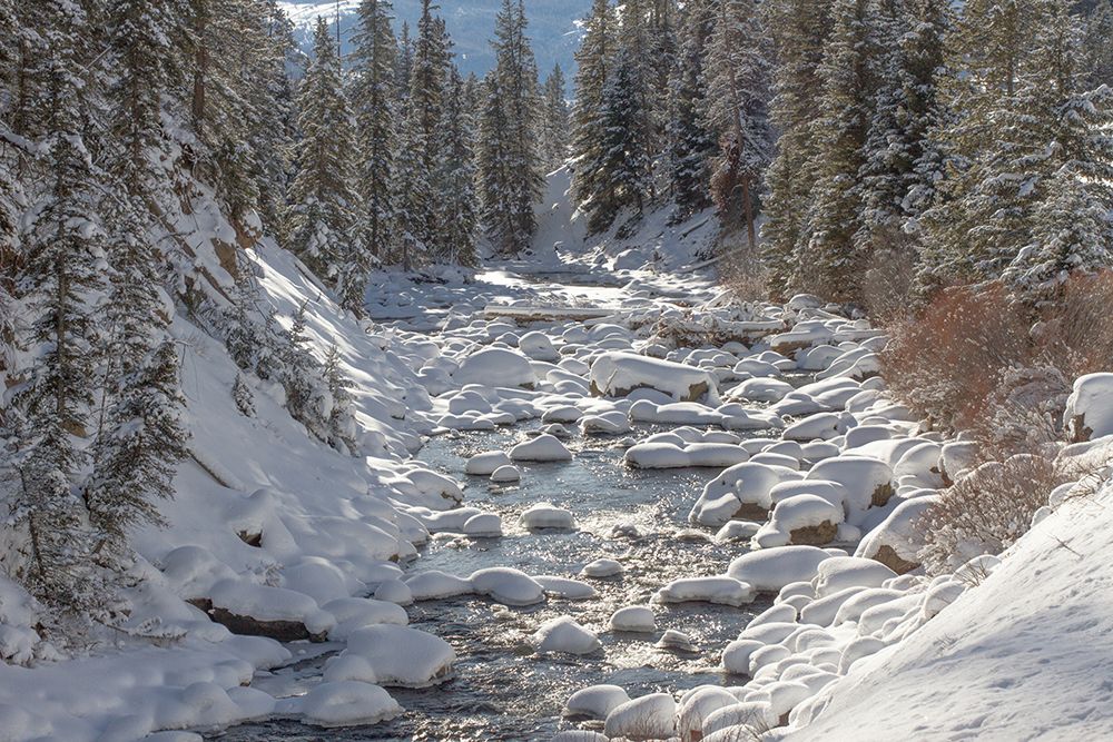Soda Butte Creek, Yellowstone National Park art print by Diane Renkin for $57.95 CAD