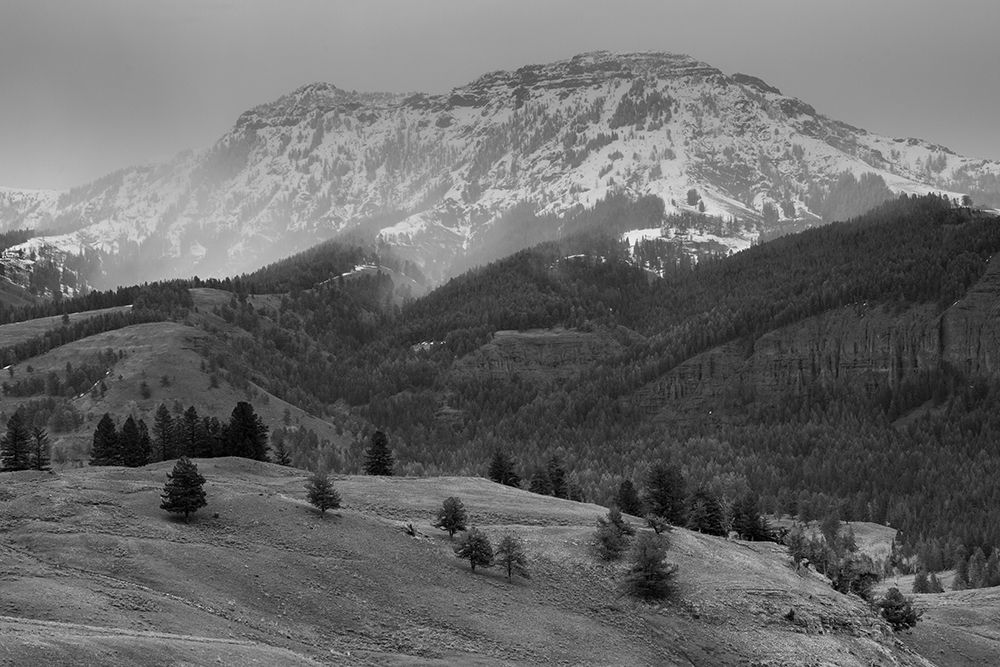 Spring Snow, Lamar Valley, Yellowstone National Park art print by The Yellowstone Collection for $57.95 CAD