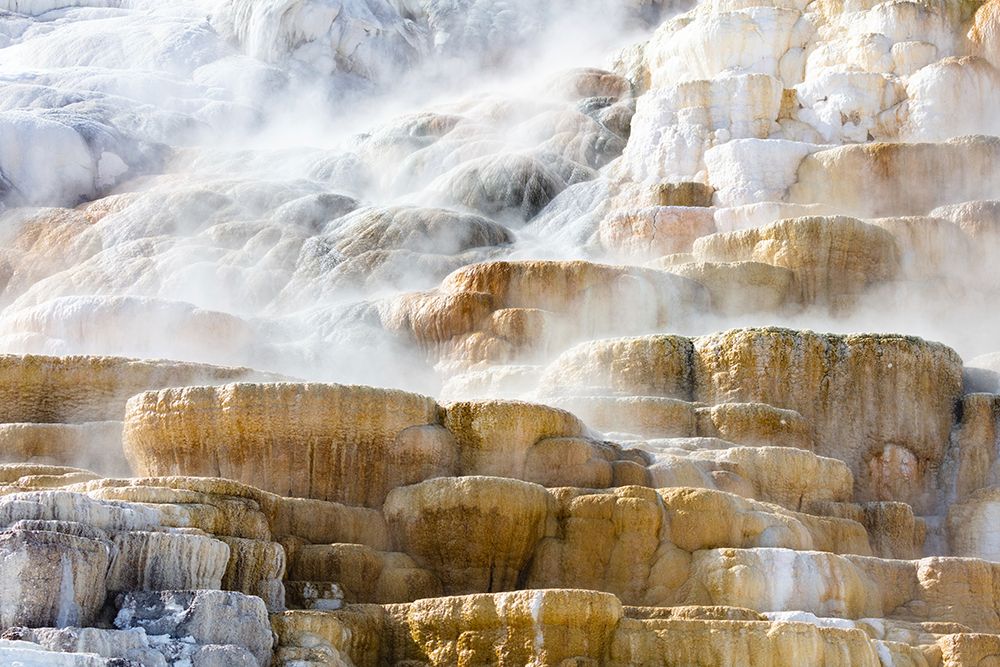 Steam Rising from Palete Spring, Yellowstone National Park art print by Jacob W. Frank for $57.95 CAD