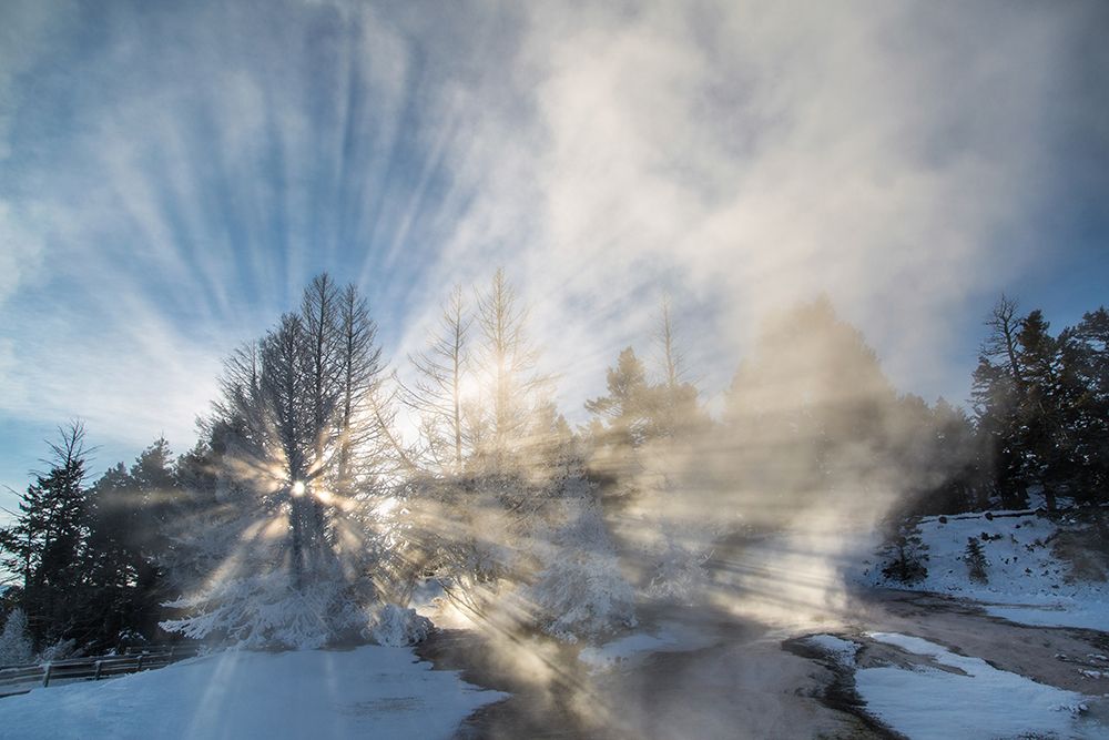 Steam Shadow at Dryad Spring, Yellowstone National Park art print by The Yellowstone Collection for $57.95 CAD