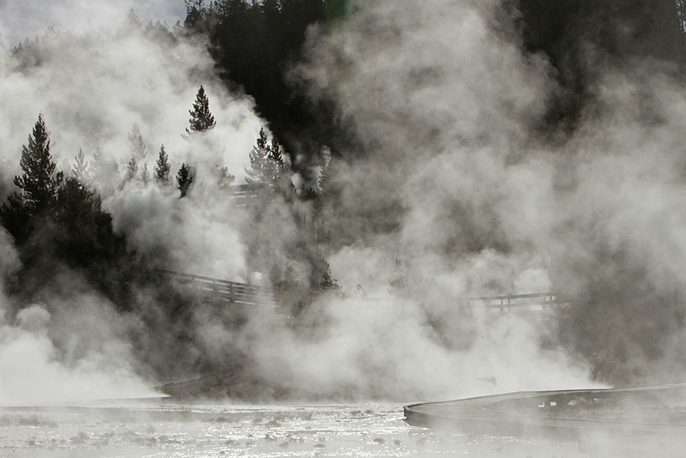 Porcelain Basin, Norris Geyser Basin, Yellowstone National Park art print by Jim Peaco for $57.95 CAD
