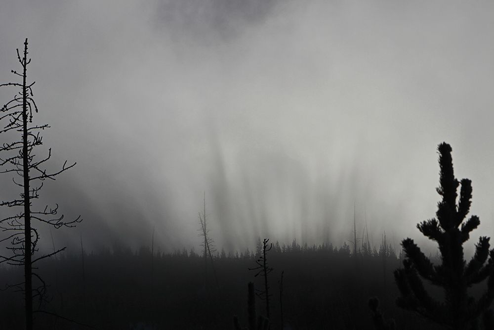 Roaring Mountain, Yellowstone National Park art print by The Yellowstone Collection for $57.95 CAD