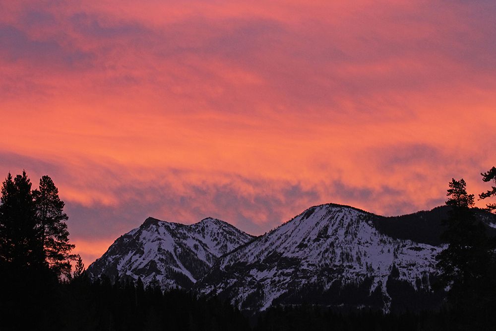 Sunrise in the upper Soda Butte Valley, Yellowstone National Park art print by The Yellowstone Collection for $57.95 CAD