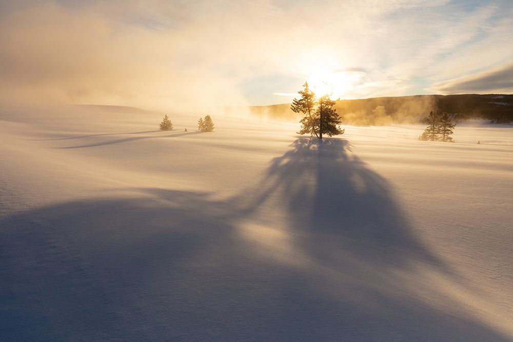 Sunrise near Terrace Spring, Yellowstone National Park art print by The Yellowstone Collection for $57.95 CAD