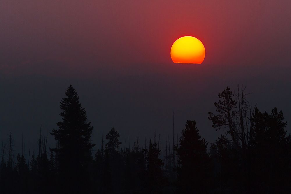 Sunrise over the Beartooth Plateau, Yellowstone National Park art print by The Yellowstone Collection for $57.95 CAD