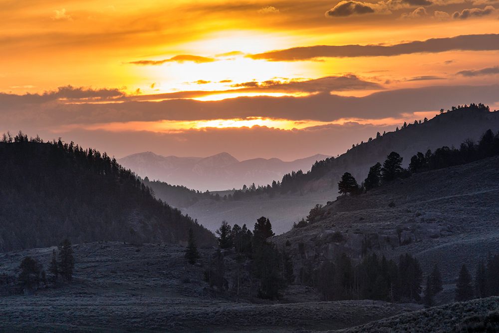 Sunset, Lamar Valley, Yellowstone National Park art print by The Yellowstone Collection for $57.95 CAD