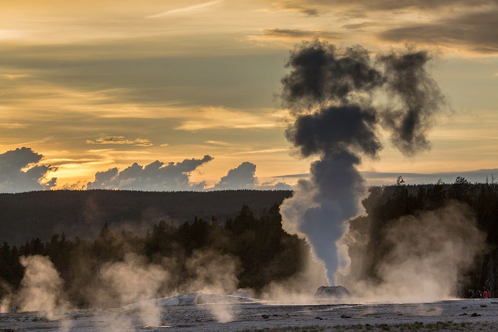 Sunset, Lion Geyser, Yellowstone National Park art print by The Yellowstone Collection for $57.95 CAD