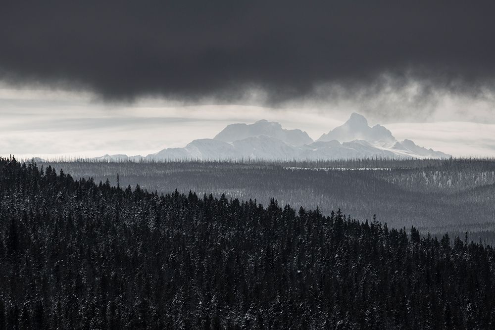 The Tetons from Craig Pass, Yellowstone National Park art print by Neal Herbert for $57.95 CAD