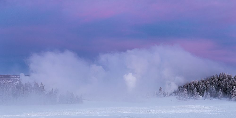 Winter Dawn, Upper Geyser Basin, Yellowstone National Park art print by The Yellowstone Collection for $57.95 CAD