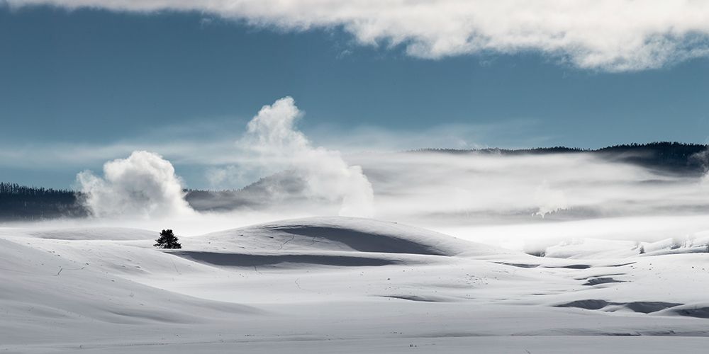 Winter in Hayden Valley, Yellowstone National Park art print by The Yellowstone Collection for $57.95 CAD