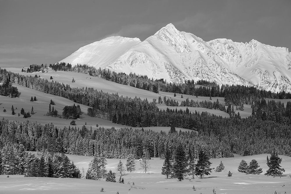 Winter Morning, Electric Peak, Yellowstone National Park art print by The Yellowstone Collection for $57.95 CAD