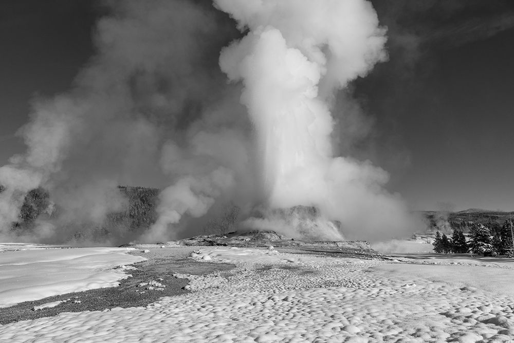 Winter Solstice Castle Geyser Eruption, Yellowstone National Park art print by Jacob W. Frank for $57.95 CAD