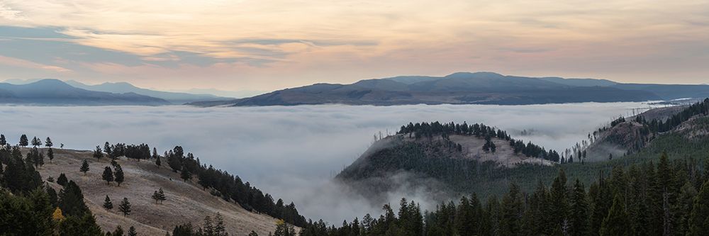 Yellowstone River Valley, Yellowstone National Park art print by The Yellowstone Collection for $57.95 CAD