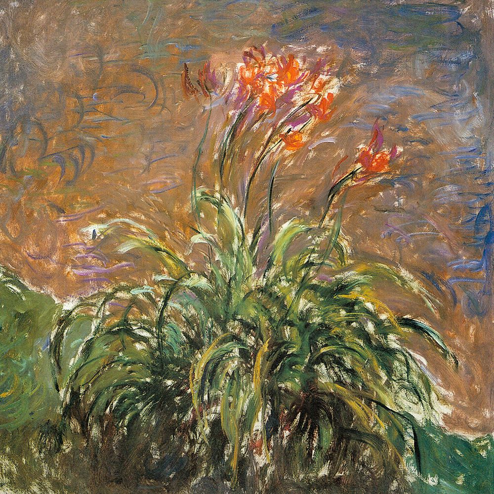 Hemerocallis 1914 art print by Claude Monet for $57.95 CAD