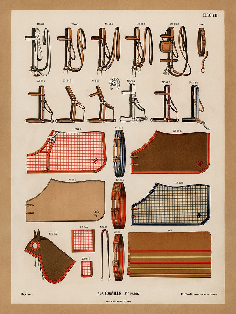 Horses with Antique Riding Equipment III art print by Vintage Drawings for $57.95 CAD