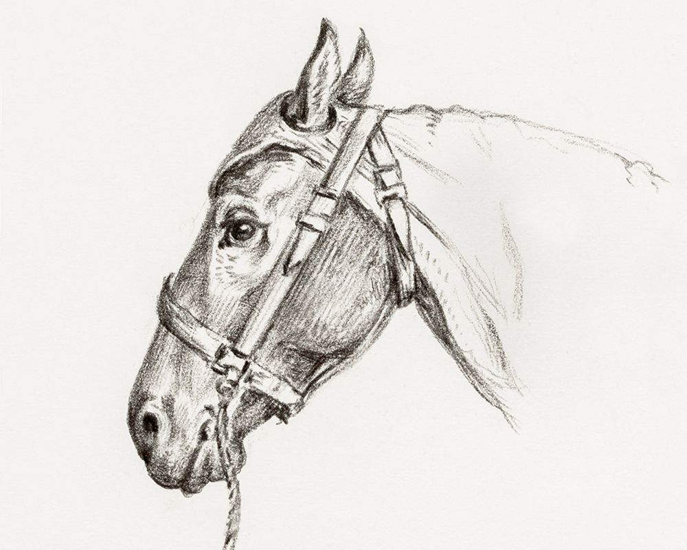 Head of a Horse I 1819 art print by Jean Bernard for $57.95 CAD