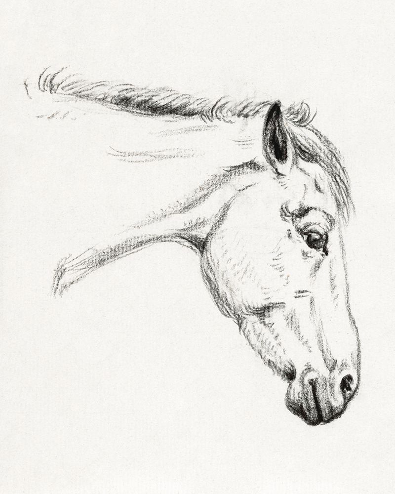 Head of a Horse II 1819 art print by Jean Bernard for $57.95 CAD