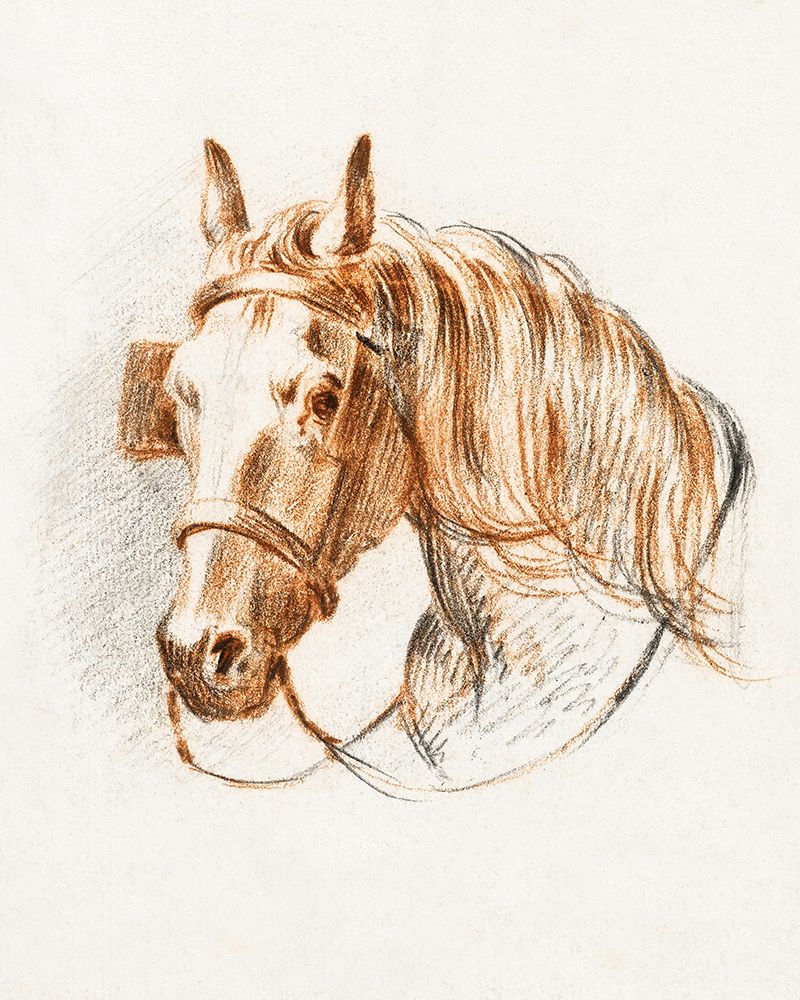 Head of a Horse IV art print by Jean Bernard for $57.95 CAD