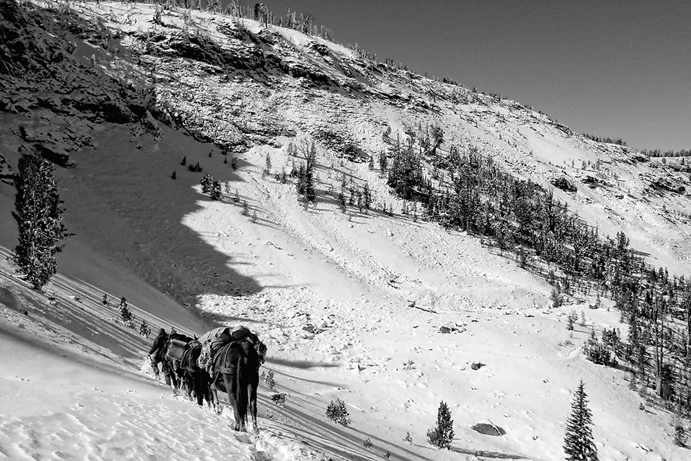 Cougar Basin Payette art print by Jesse Lutz for $57.95 CAD