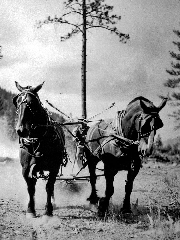 Eight Mile Fire Team art print by Vintage Photography for $57.95 CAD