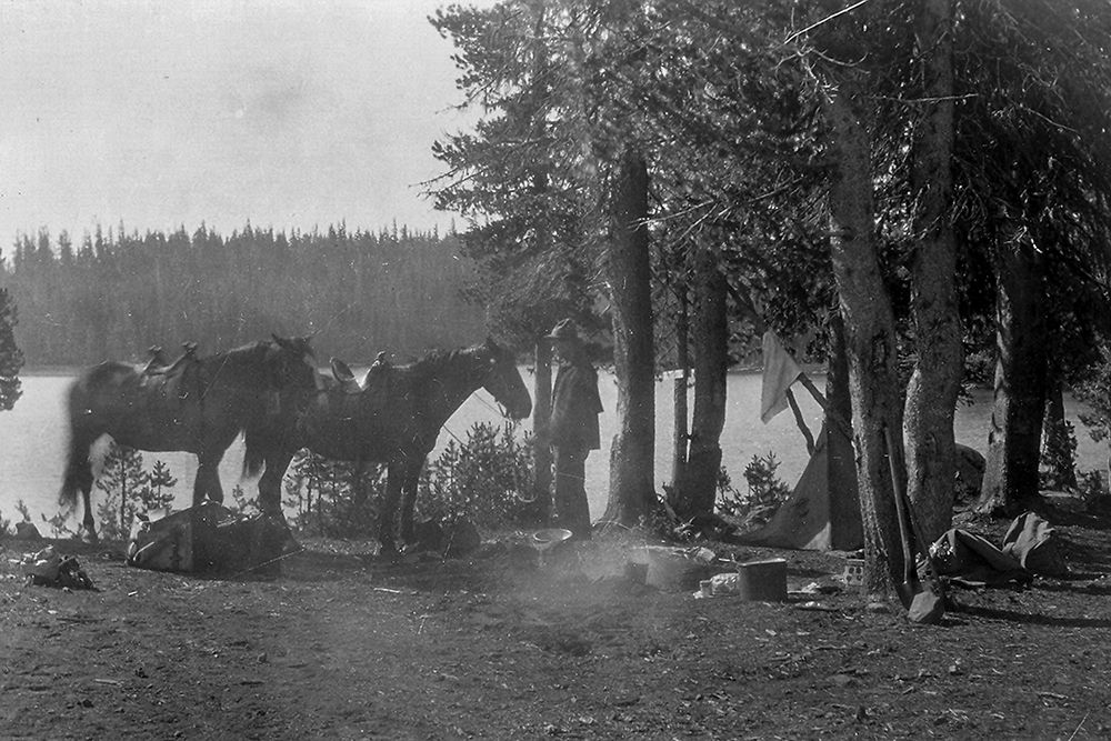 Forester in Camp with Horses art print by Vintage Photography for $57.95 CAD